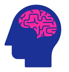 side profile of a cartoon head with a pink brain 